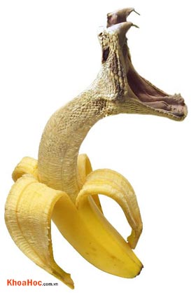 BananaSnake
